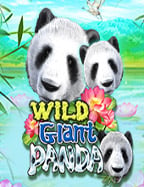 เดินทางสู่ความสนุกกับ all in slot จาก Spade Gaming